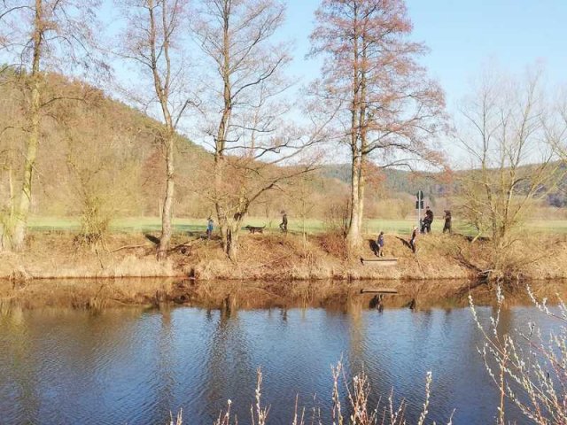 23.03.2019 Uferreinigung
